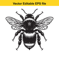 Detailed Vector Illustration of a Bumblebee in Black and White Intricate Line Art for Design and Creative Projects