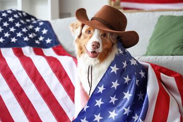 Cute Australian Shepherd dog in cowboy hat with USA flag at home
