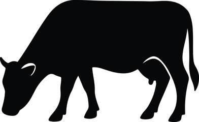 Silhouette grazing cow domestic animal black and white vector illustration
