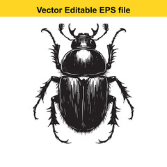 Detailed Monochrome Illustration of a Stag Beetle Vector Art with Intricate Line Work and Anatomical Accuracy Perfect for Educational or Design Use