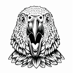 Parrot Surprised Vector image. Surprised Parrot Stock Illustrations.