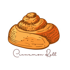 Cinnamon Roll color sketch with inscription, Pastry sweet bakery. Vector Cute kanelbullar bun, yeast french dough, sweet nutrition snack. Color illustration, hand drawn element for cafe, menu