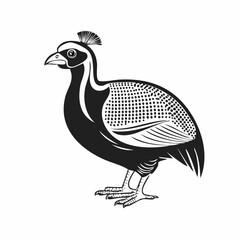 Guinea fowl bird vector. Guinea fowl drawing Stock Vector Images
