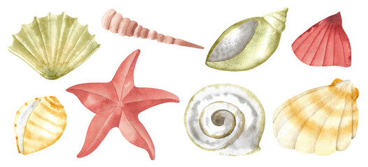 Underwater set of shells, starfish. Watercolor illustration, hand drawn in gentle colors collection, isolated for cards, posters, packaging, labels, invitations, print