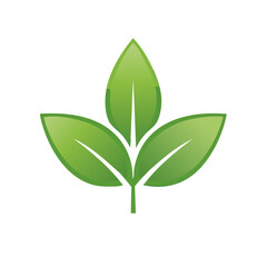 Fresh green leaves on a dark background symbolize nature and growth in a simple botanical illustration style art