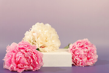 Empty podium with beautiful peony flowers. Abstract floral arrangement, banner. Creative template for your design. Minimal modern aesthetics, elegant beauty concept