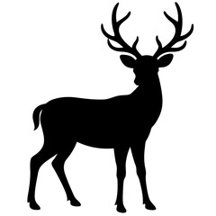 Fototapeta premium Silhouette of Deer with Large Antlers