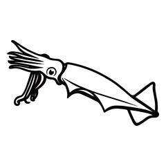 squid silhouette photo with white background