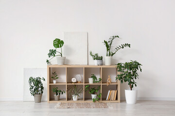 Shelf unit with green plants and painting near light wall in room