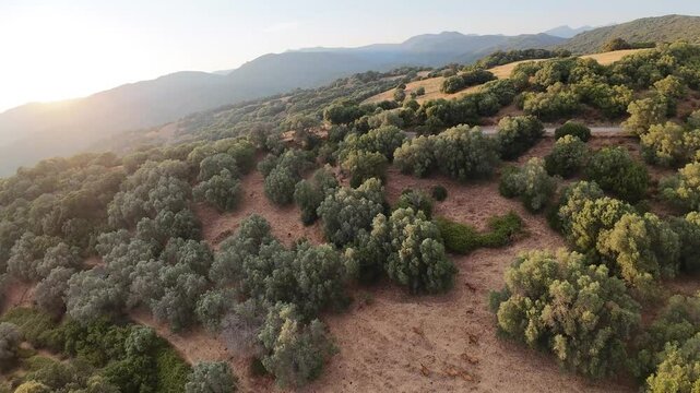 un paysage rural de Corse - Drone France