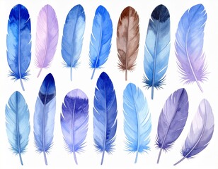 blue and white feathers on white background 