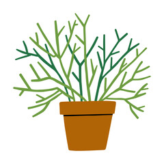 Vector illustration with house plant in a ceramic pot. For design projects, prints and post cards design, gardening blogs and editorial layouts.