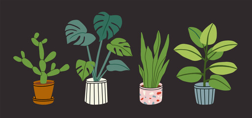 Set of vector illustrations with house plants in pots. Cactus, monstera, ficus and snake plant. For design projects, prints and post cards design, gardening blogs and editorial layouts. 