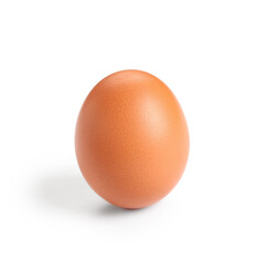 Brown chicken egg on white background