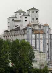 Large decaying grain storage facility with weathered towers, rusted roofs, and faded paint, partially hidden by trees in Saint Petersburg.
