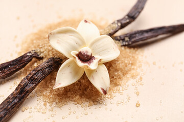 Vanilla sugar with pods and flower on beige background, beige