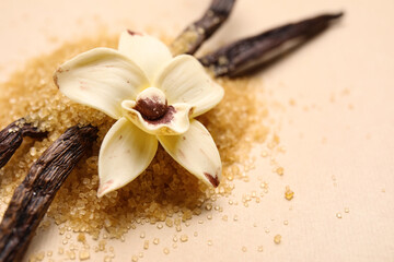 Vanilla sugar with pods and flower on beige background, beige