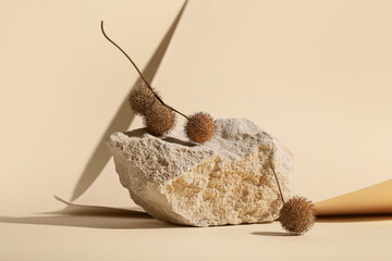 Composition with rock and dry floral decor on beige background