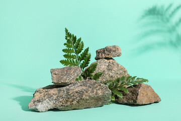 Composition with rocks and green fern leaves on turquoise background