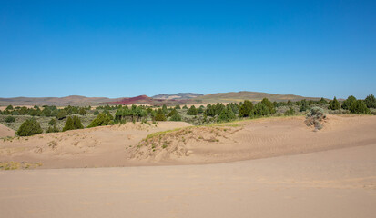 Sand dunes St Anthony Idaho, distant view