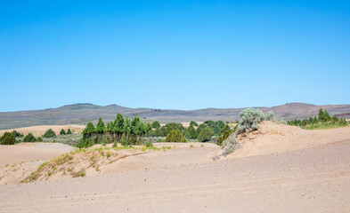 Sand dunes St Anthony Idaho, trees, holidays