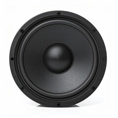 A closeup view of a circular black speaker driver set against a white background