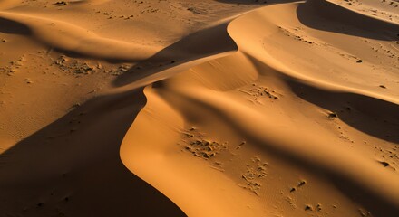 Golden sand dunes with smooth curves and shadows, capturing a serene desert atmosphere. The sunlight enhances the warm tones and intricate patterns, reflecting a tranquil yet dynamic landscape.
