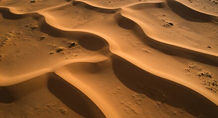 Aerial shot of rolling sand dunes; warm golden tones with dynamic shadows; highlights textures and forms; tranquil mood.