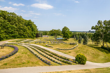 A picturesque lavender farm located in Southern Ontario, offering serene views and aromatic lavender fields north of Ajax.

