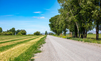 Idaho road in the countryside in a bright summer day