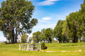 Idaho park in spring with trees