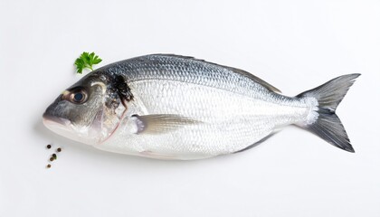 Fototapeta premium fish, food, fresh, seafood, raw, sea, salmon, isolated, bluefish, chum, carp, healthy, fishing, trout, white, market, animal, meal, cooking, silver, delicious, catch, ice, fishes, mackerel, freshness,