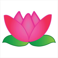 colored lotus flower icon vector illustration