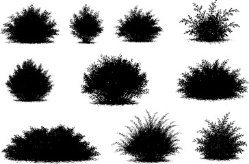 bush set silhouettes for backgrounds