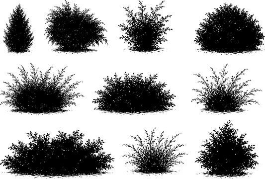 bush set silhouettes 