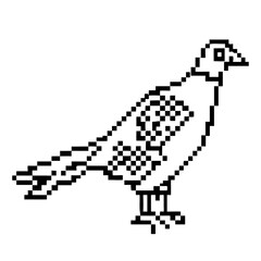 Pixelated black outline of a pheasant bird standing with intricate details on its feathers