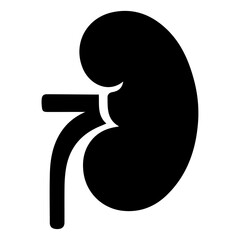 Human Kidney Anatomy Illustration, Black Silhouette Icon