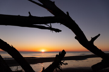 A window through the trees to the sunrise at sea.