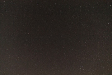 Starry sky in the forest through the trees.