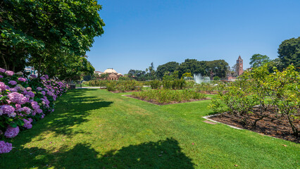 Summer scene of Exposition Park Rose Garden, California Science Center, Los Angeles