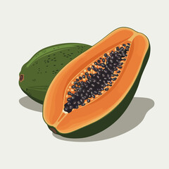Vector illustration of a fresh papaya.