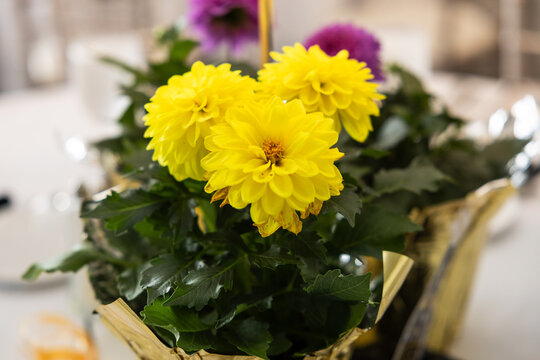 Bright Yellow and Purple Floral Centerpiece in Decorative Pot