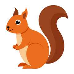 Squirrel on white background