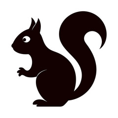 Squirrel on white background