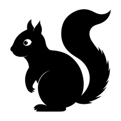 Squirrel on white background