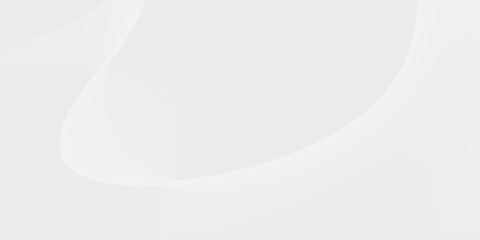 Abstract background with soft white and grey curves and gradients. Clean, modern, and minimalist design.