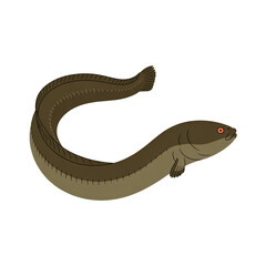 Cartoon Illustration of a Fish Eel