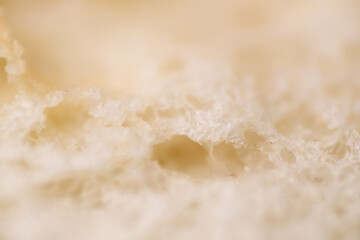 Macro texture of mold and mildew on expired bread