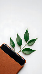 A Healthy And Thriving Green Branch Emerging From A Brown Folder