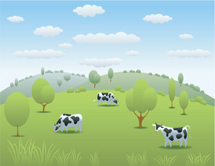 Fototapeta premium Idyllic Pastoral Scene Cows Grazing in a Rolling Green Meadow under a Blue Sky